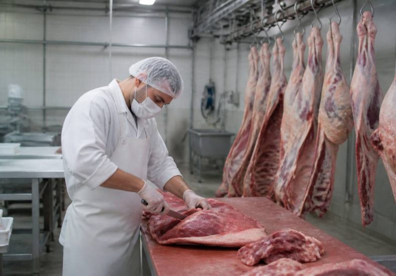 Abattoir boucherie : équipements, normes et bonnes pratiques pour une activité performante