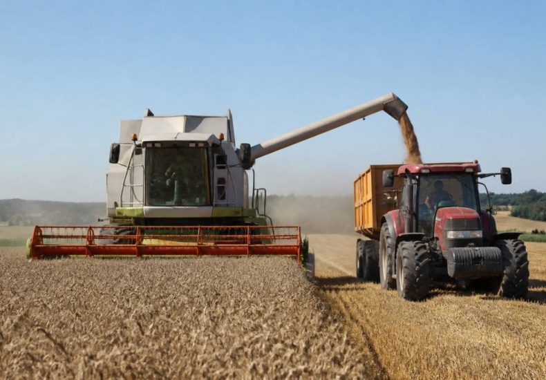 Actu agriculteur : les dernières informations du secteur agricole et des exploitations rurales