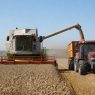Actu agriculteur : les dernières informations du secteur agricole et des exploitations rurales